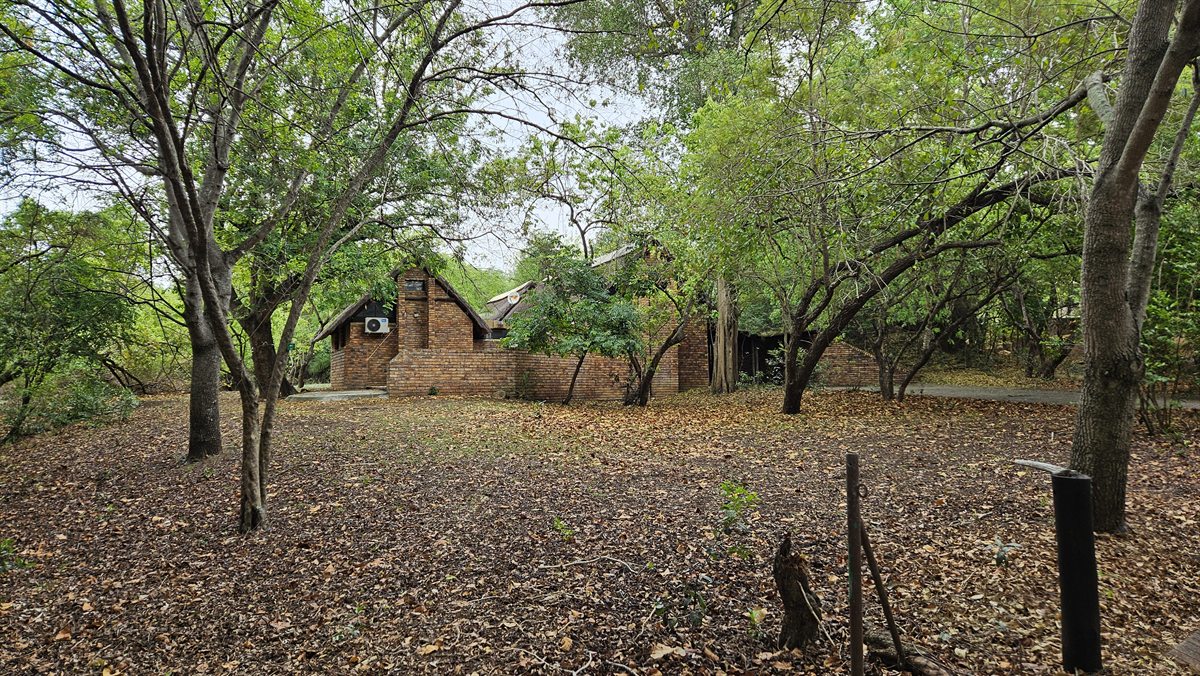 De bungalows van Berg-en-Dal tussen de bomen