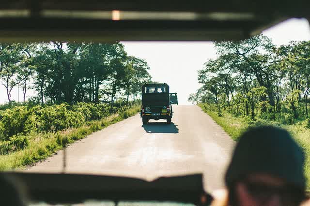 Zelf rijden in Kruger — door de voorruit, achter een game-viewer aan
