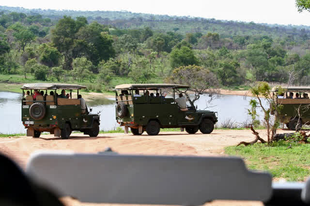 Game-drive-voertuigen staan klaar voor vertrek
