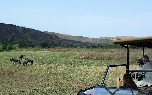 Reiziger fotografeert wild vanuit een open safarivoertuig